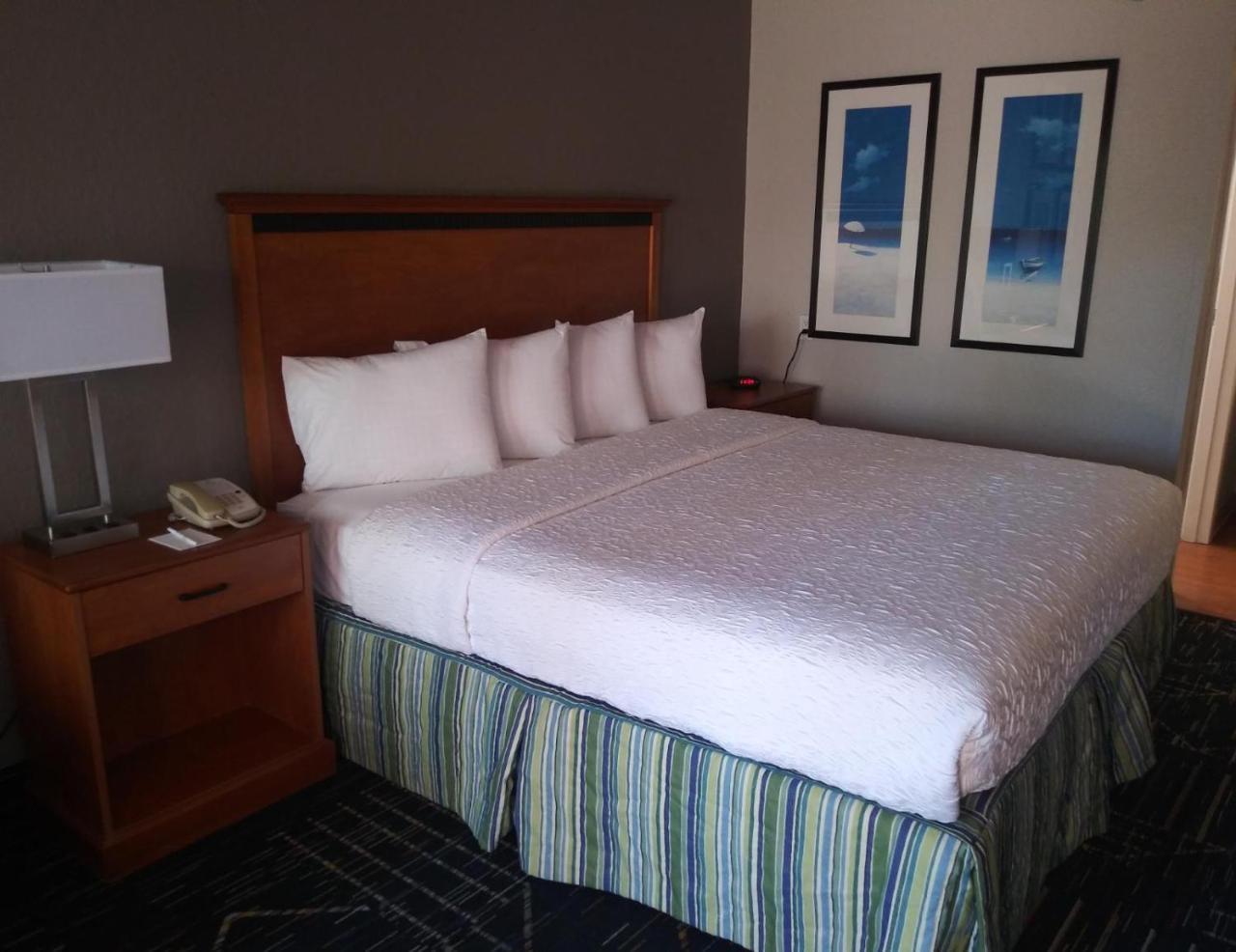 Surestay Plus Hotel By Best Western Clearwater Central Bagian luar foto